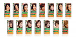 Garnier Hair Color 7.1