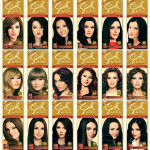 Samsol Hair Color 41